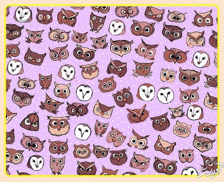 چند معمای تصویری برای آنهایی که توجه و دقت زیادی دارند